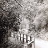 中正中學歷史照片